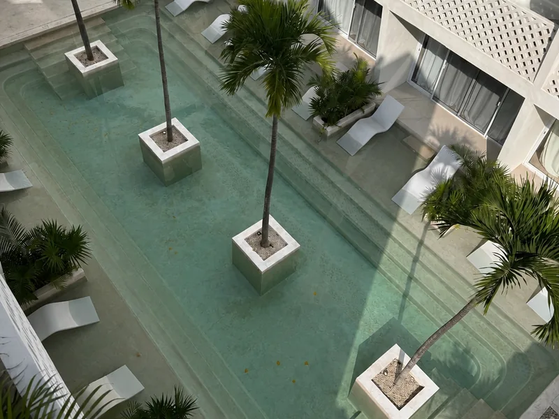 Alberca de hotel con agua opaca antes del rescate en Tulum